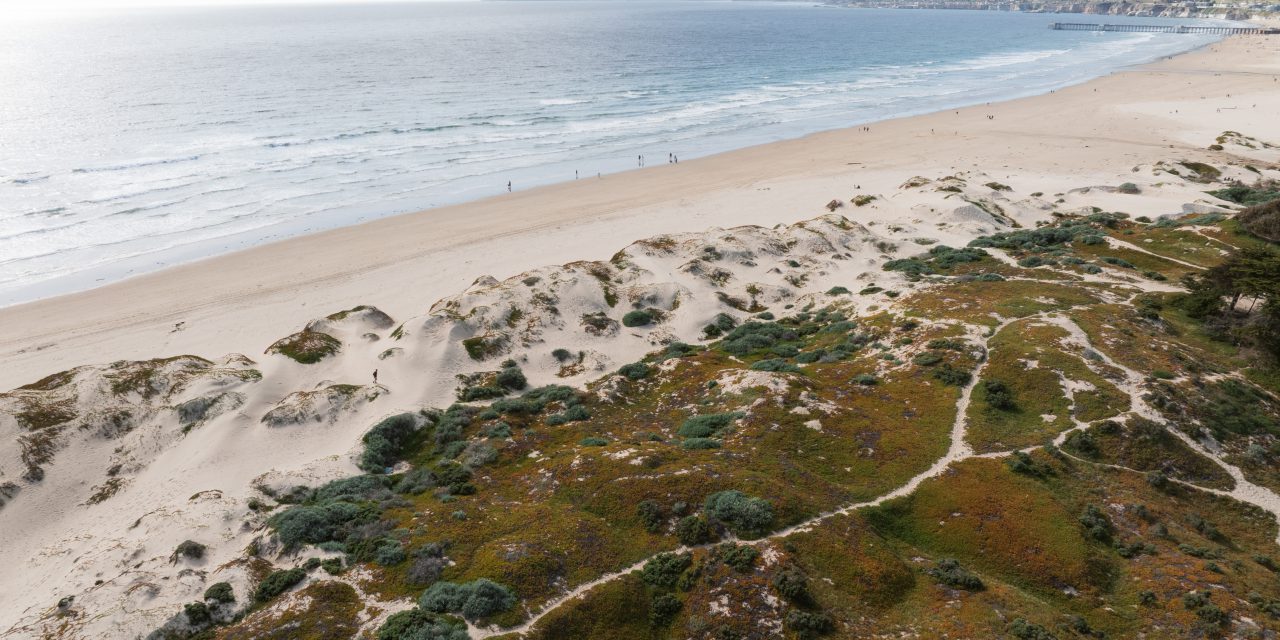 Top Trails Near Grover Beach: From Coastal Walks to Dune Adventures