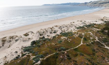 Top Trails Near Grover Beach: From Coastal Walks to Dune Adventures