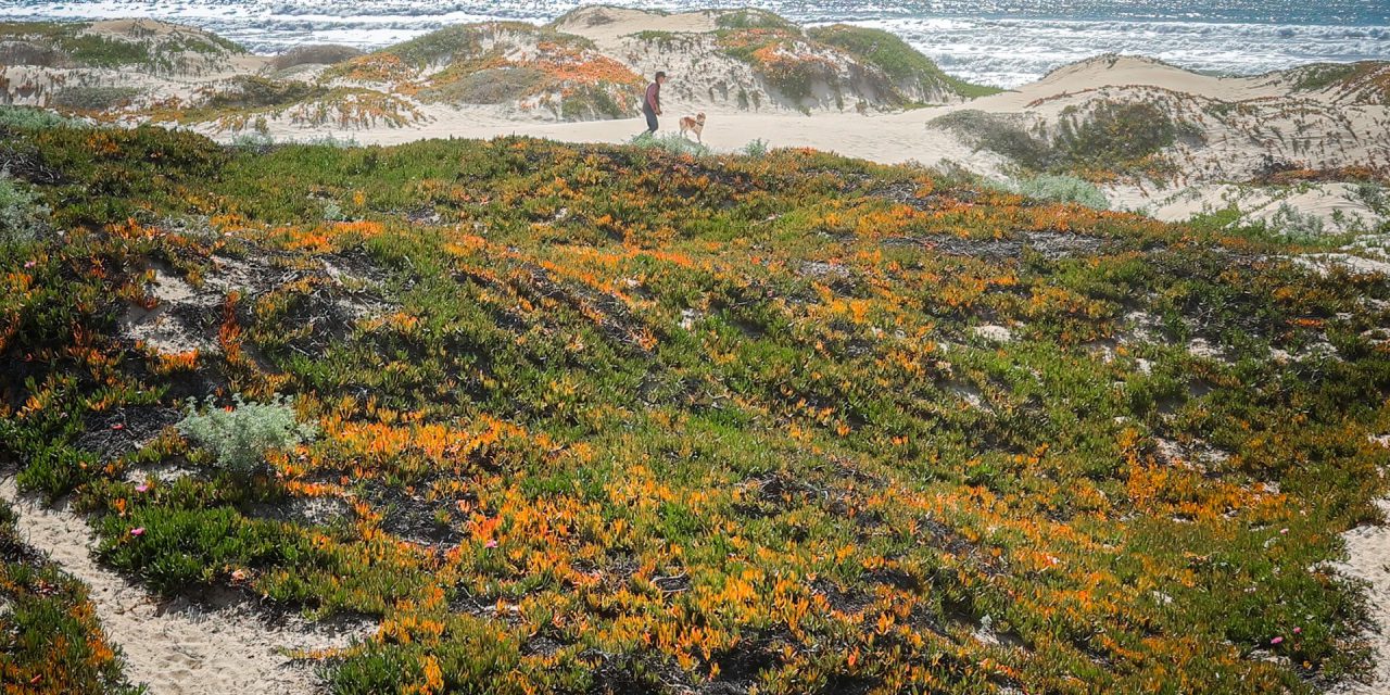 New Year, West End Style